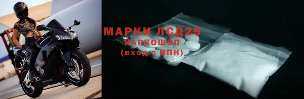 дживик Новозыбков
