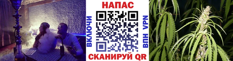 Конопля тримм  наркотики  hydra ССЫЛКА  Сатка 